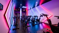 prime snap fitness gym - 3