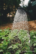 contract garden maintenance soft - 1