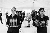 premium party wedding planning - 1