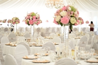 established wedding events décor - 2