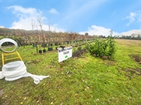 relocatable tree nursery business - 3