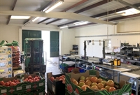 profitable fruit vegetable wholesalers - 2