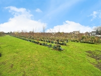 relocatable tree nursery business - 2