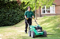 profitable lawn business with - 3