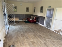 doggy day care business - 3