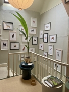 the tetbury pet shop - 2