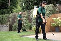 established lawn care business - 2