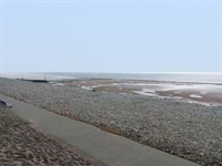 established beachside bar restaurant - 2