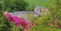 bed breakfast 6 rooms - 1
