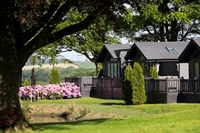boutique manor house lodge - 3