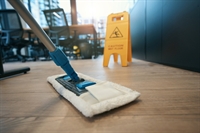 domestic commercial cleaning business - 3