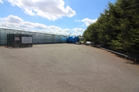 east yorkshire wholesale nursery - 2