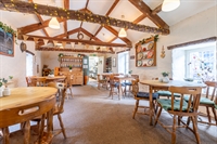 successful tea shop thriving - 2