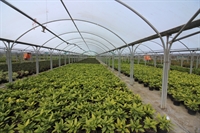west sussex nursery premises - 1