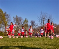 thriving children's sports franchise - 3