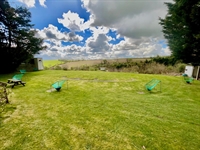well established clay pigeon - 2