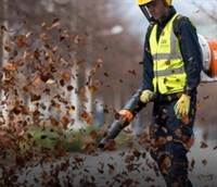 grounds maintenance franchise - 3