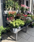 a highly rated florist - 3