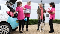 bright beautiful cleaning franchise - 3
