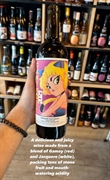 established wine importer merchant - 2