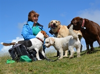 pet sector franchise opportunity - 1