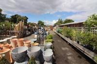 attractive leasehold garden centre - 3