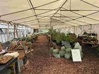 leisure garden cafe near - 3