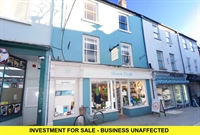 investment for sale business - 1