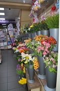 west london florist willesden - 2