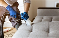 specialist dry carpet cleaning - 3