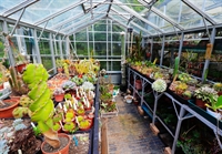 long established cactus nursery - 3