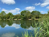 renowned commercial carp fishery - 2