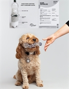 premium sustainable pet accessories - 3