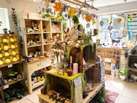 character town centre shop - 2
