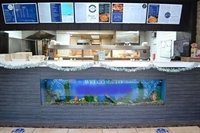 established fish chip shop - 2