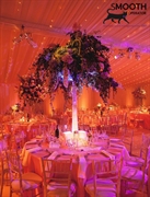 premium events management franchise - 3