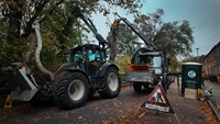 highperforming arboriculture tree business - 2