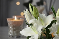 established funeral business united - 1