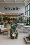 established global e-commerce company - 3