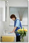 profitable domestic cleaning manchester - 2