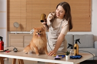 well established dog grooming - 1