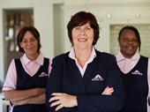 molly maid franchise north