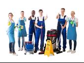 maid cleaning online business