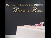 established laser aesthetic beauty
