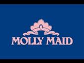 thriving molly maid franchise