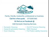 highly reputable domestic cleaning
