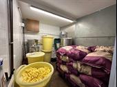 leasehold fish chip takeaway