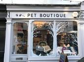 established pet boutique grooming