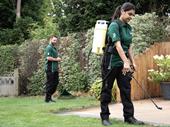 established lawn care business