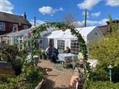 charming successful tea room